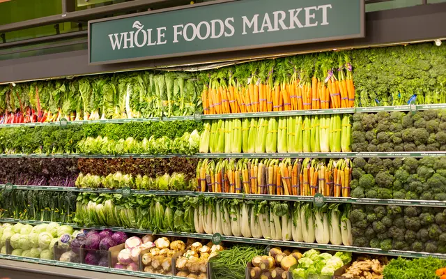 Vantage - Shop, Plant