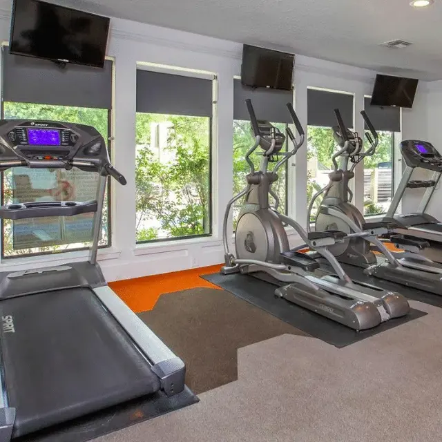 A modern gym area featuring two treadmills and two elliptical machines. Large windows allow natural light to brighten the space.