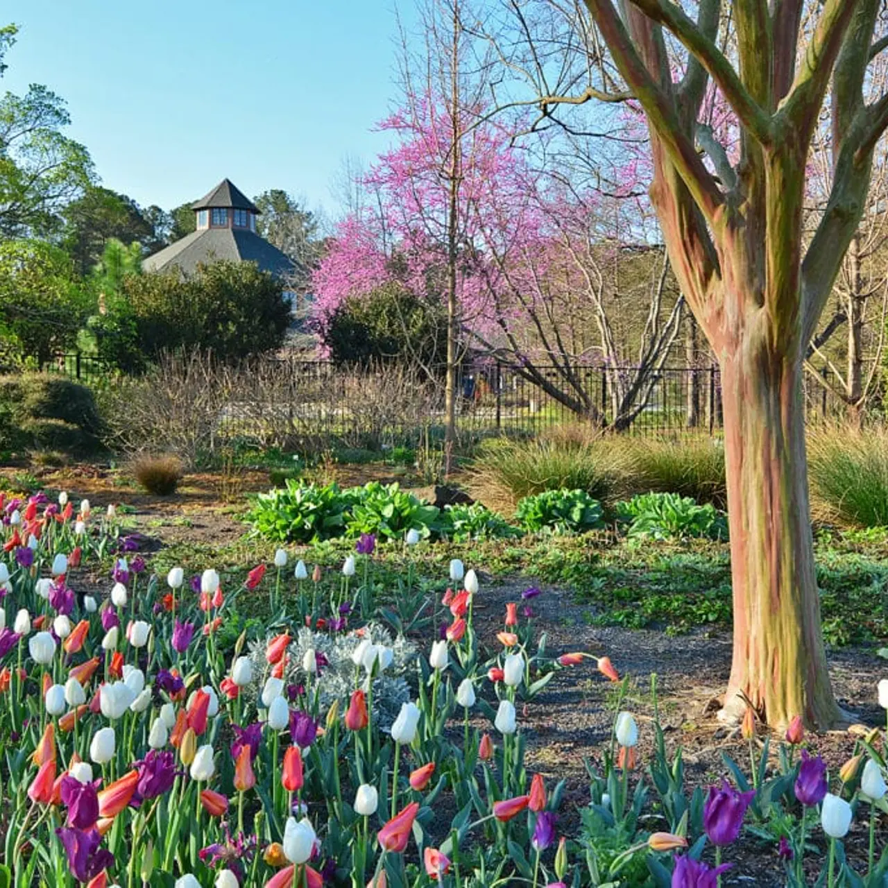 Cape Fear Botanical Garden