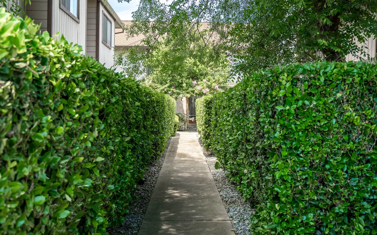 Datewood Apartments - Garden, Nature, Outdoors