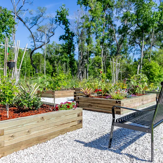 Rochester Park - Backyard, Nature, Outdoors