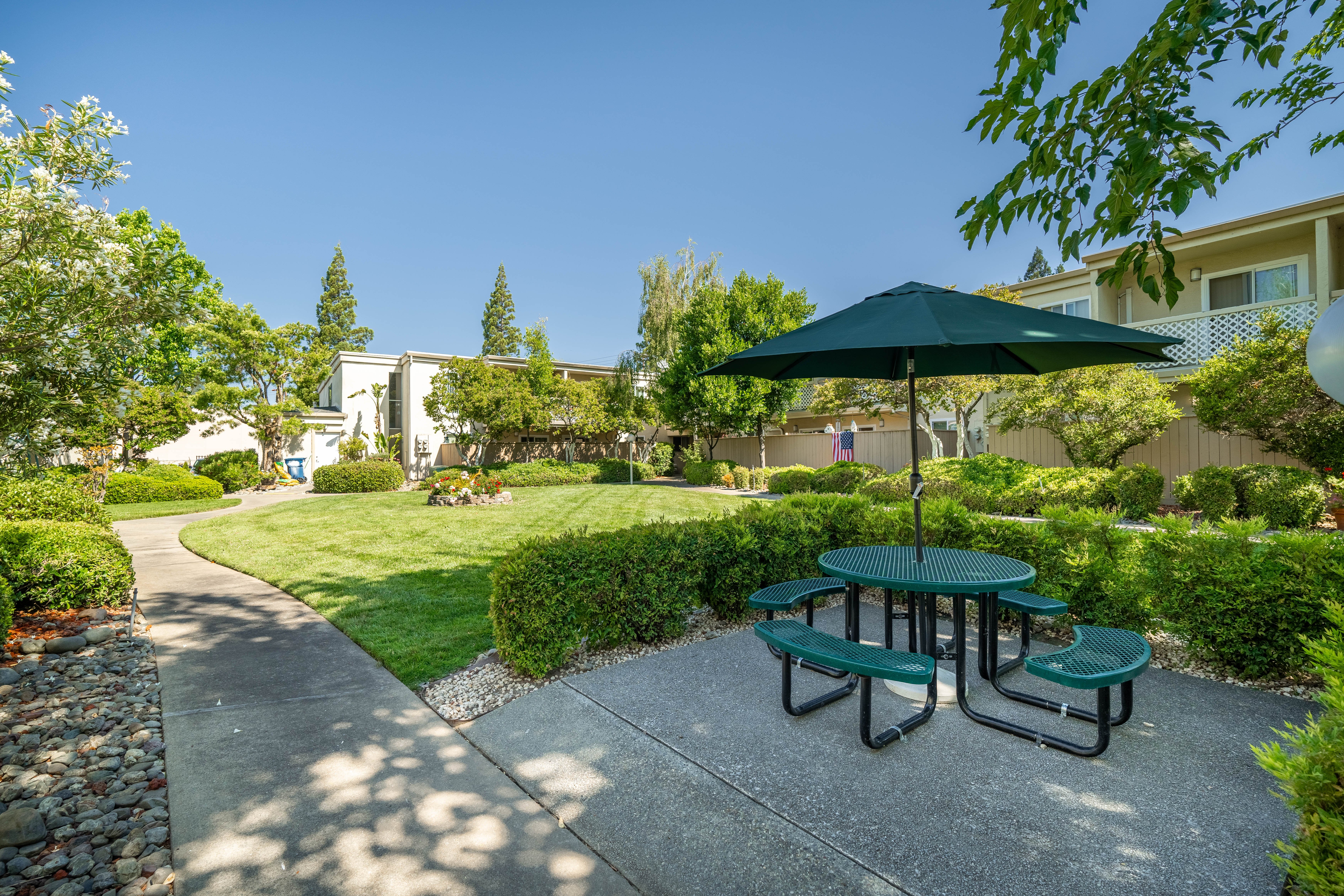 Del Dayo - Grass, Backyard, Nature