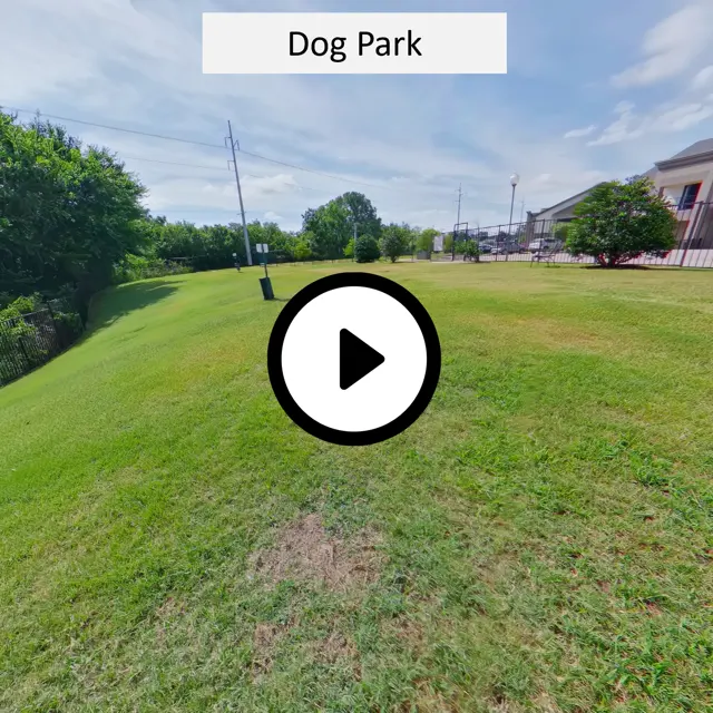 Dog Park