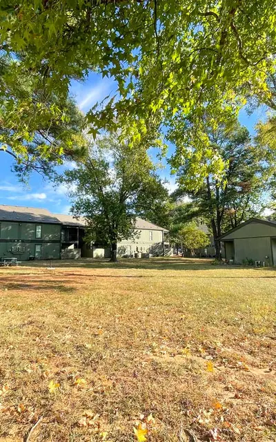 Seasons - Park, Tree, Grass