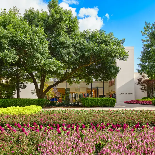 City North - Grass, Nature, Outdoors