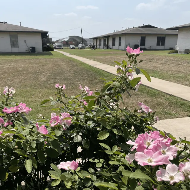 Seven Pines Apartments Seven Pines Apartments - Neighborhood, Shelter, Flower