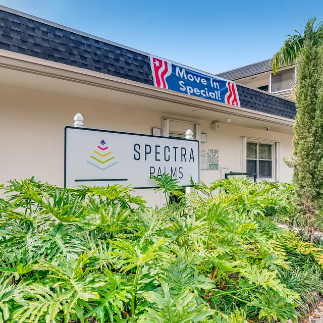 Spectra Palms​ - Office, Plant