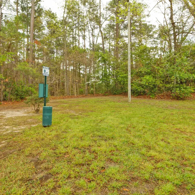 Lakeshore Grande - Land, Outdoors, Grass