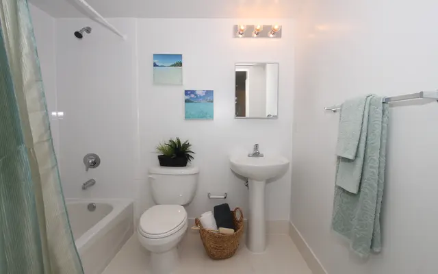 Vista 12 Apartments Restroom