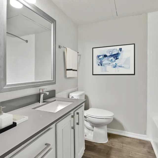 Apartment bathroom with hardwood-style flooring, bright lighting, and bathtub