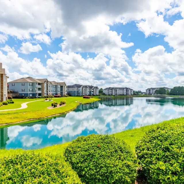 Summer Lake Summer Lake - Outdoors, Grass, Plant