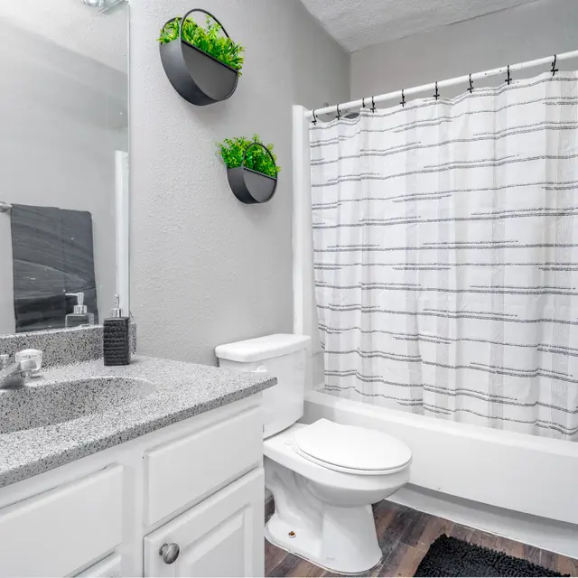 A modern bathroom featuring a gray color scheme, a bathtub with a geometric patterned shower curtain, a white toilet, a granite countertop with rolled towels, and decorative wall planters.