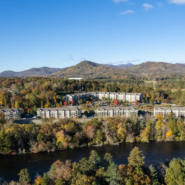 Aventine Asheville - Vegetation, Tree, Building