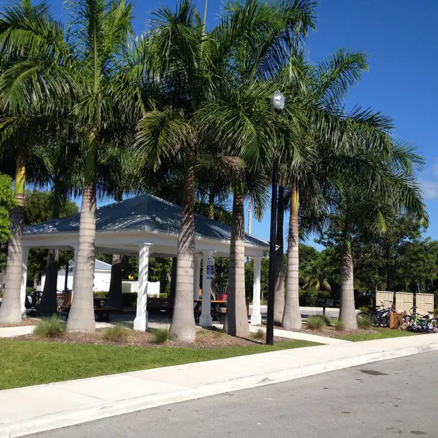 Banyan Grove - Summer, Outdoors, Shelter