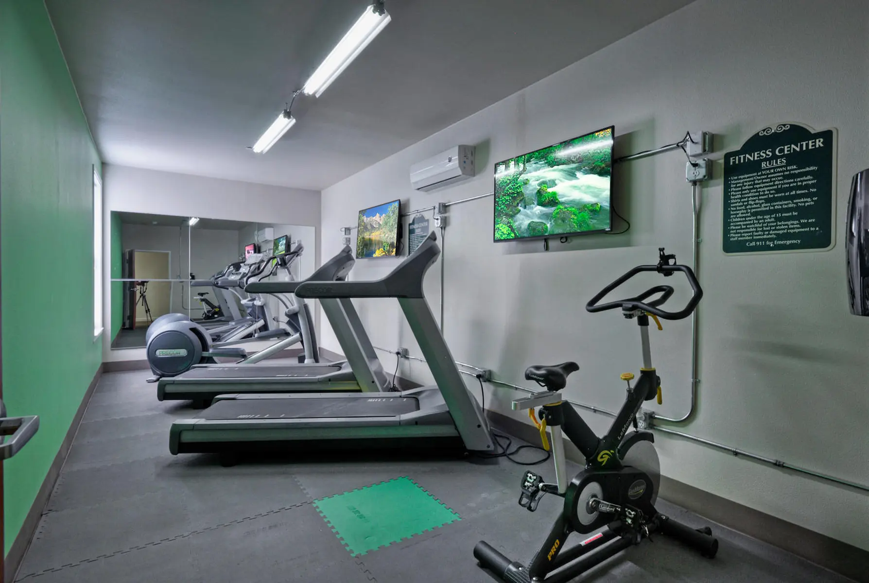 West Campus Lofts - Evian - Working Out, Fitness, Gym