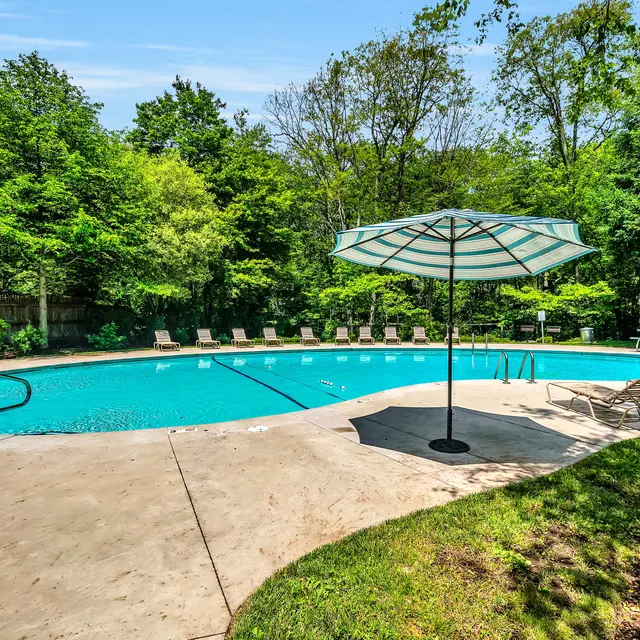 A tranquil swimming pool surrounded by greenery, featuring lounge chairs and a large umbrella.