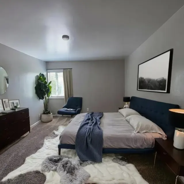 Cozy bedroom with a blue bed, gray walls, a round mirror, potted plant, and soft rugs, creating a serene atmosphere.