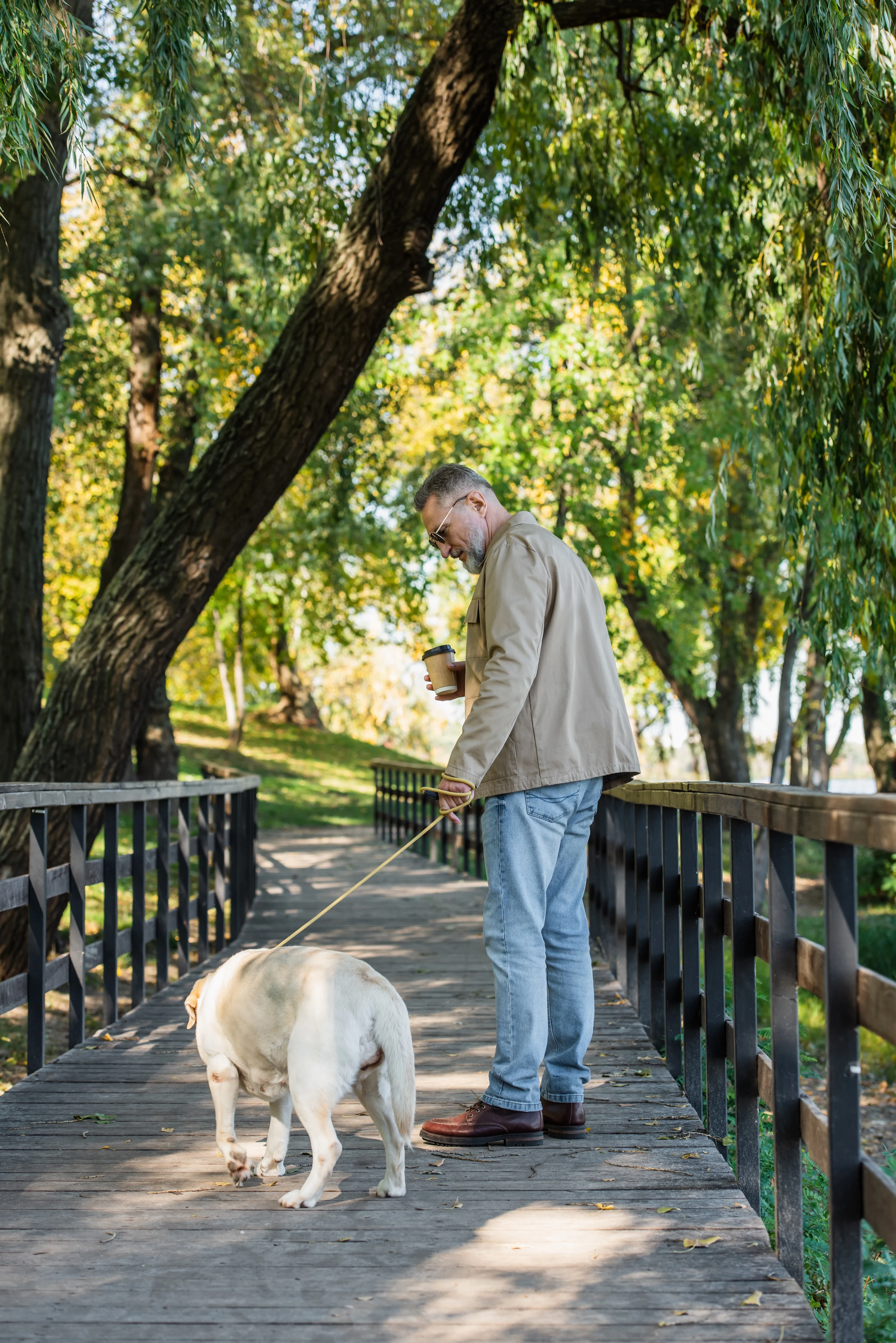 A man walking a dog on a wooden bridge surrounded by trees.