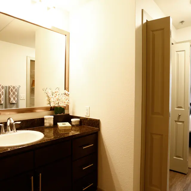 Bathroom Vanity with Granite Top