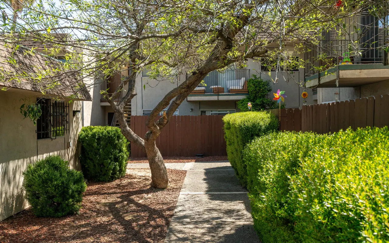 Cottage Square - Backyard, Nature, Outdoors