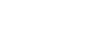 Washington Village