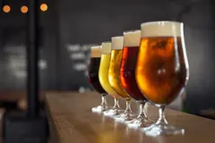 five glasses of beer lined up on a wooden bar
