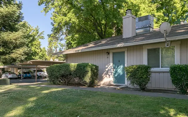 Riverbelle Park - Tree, Grass, Plant