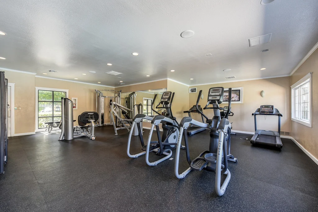 Laurel Oaks - Bicycle, Working Out