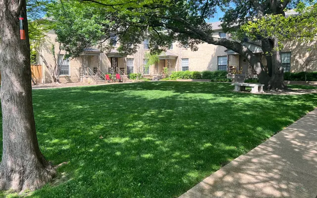 The Reiger The Reiger - Grass, Backyard, Nature