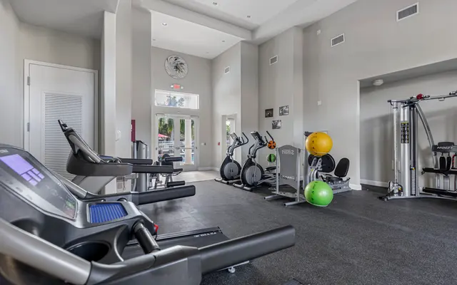 Palm Breeze Palm Breeze - Fitness, Working Out, Gym