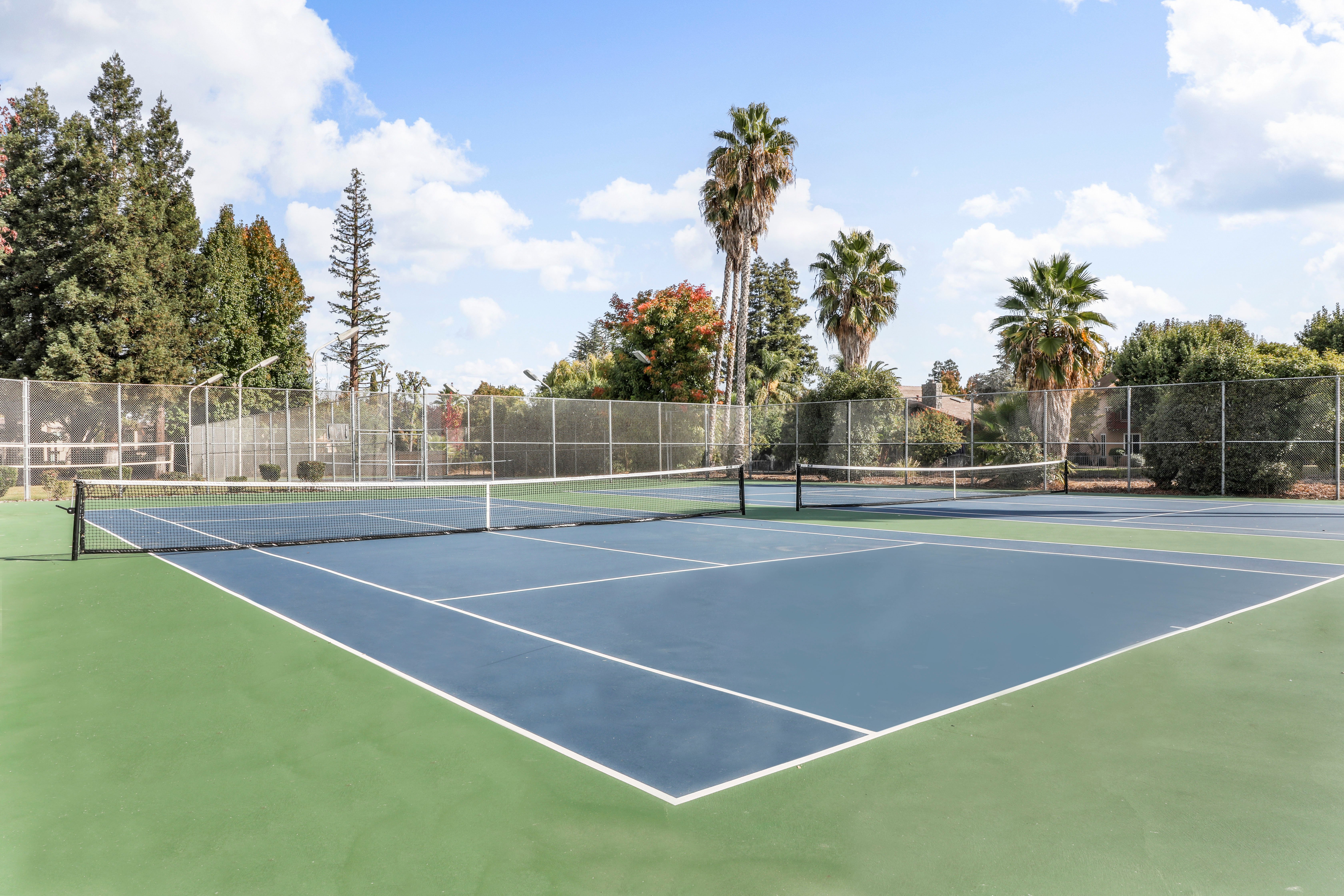 Venetian Bridges Venetian Bridges - Sport, Tennis