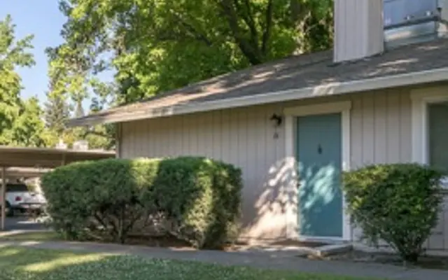 Riverbelle Park - Oak, Tree, Yard