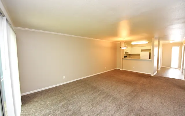 Living Room Living Room