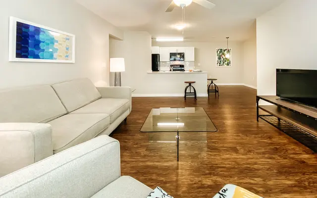 Pinnacle at Hammock Place Apts - Living Room, Flooring