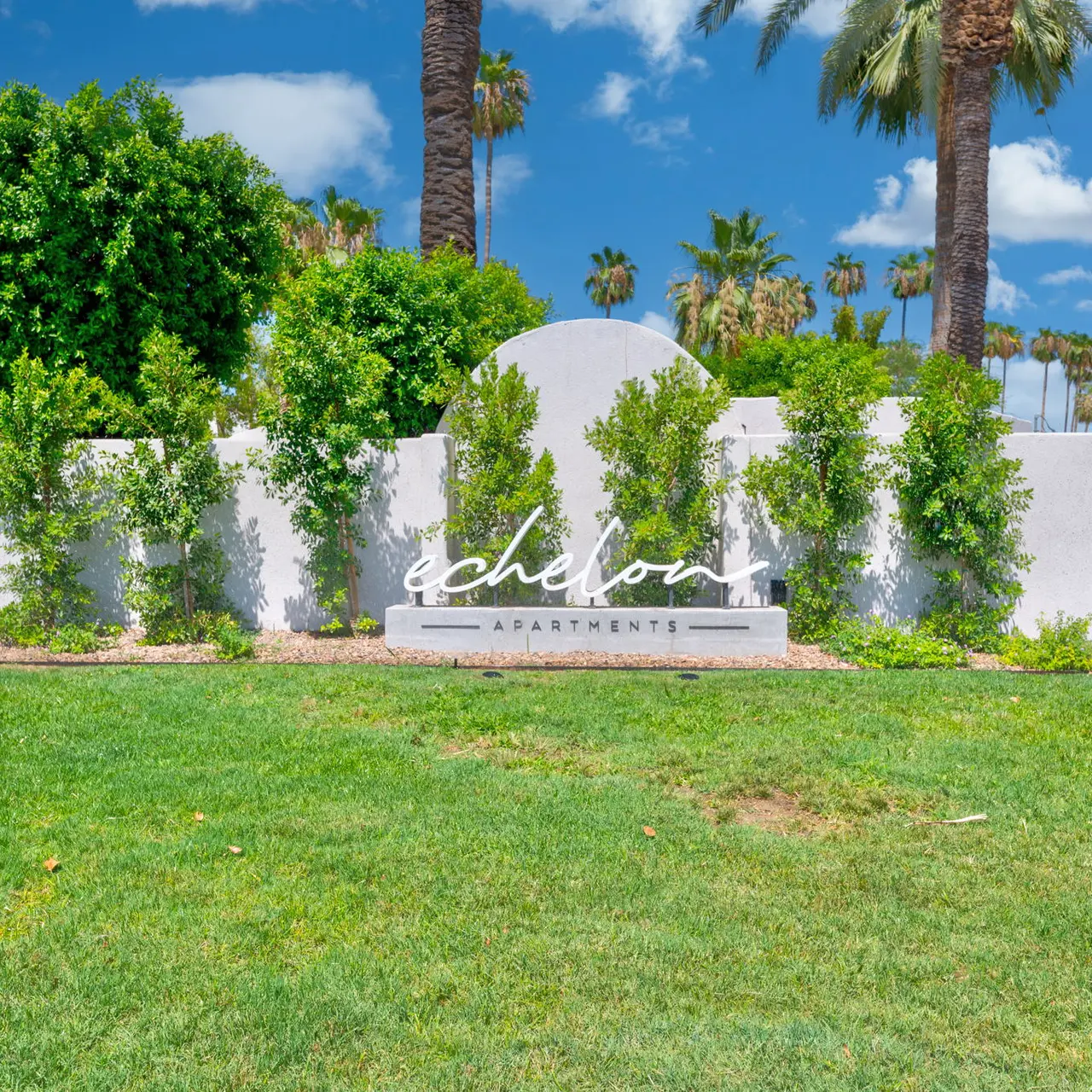 Echelon Echelon - Grass, Plant, Tree