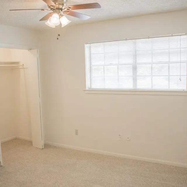 Live Oak - Corner, Floor, Appliance