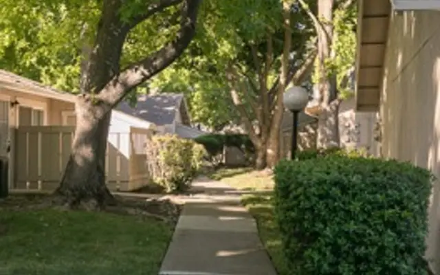 Riverbelle Park - Path, Yard