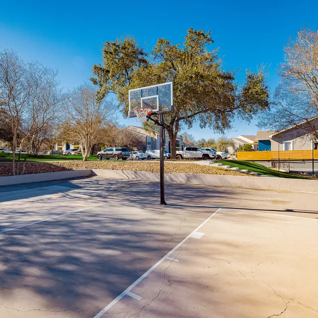 View of a basketball court with a hoop and surrounding trees.