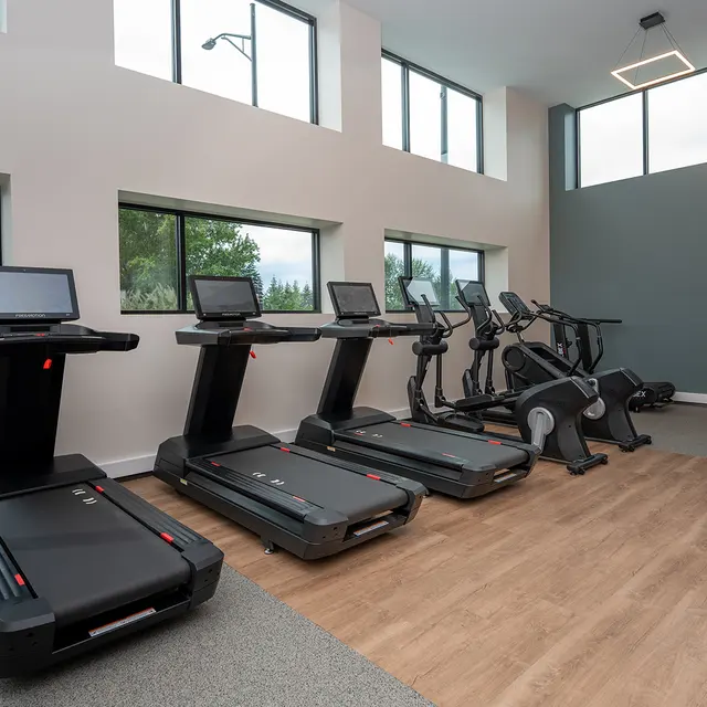 Modern Gym Equipment A modern gym interior featuring multiple treadmills and exercise machines near large windows.