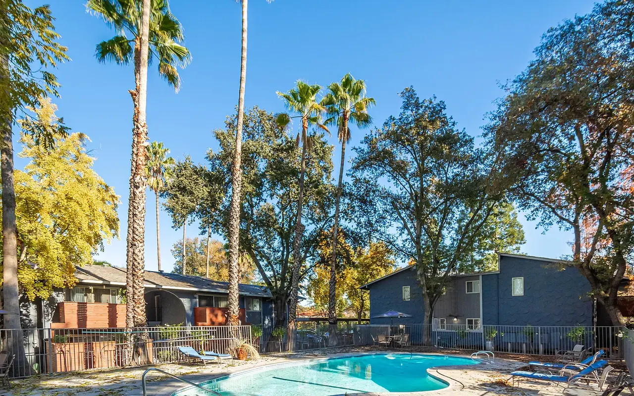 A tranquil pool area surrounded by palm trees and leafy trees with several lounge chairs nearby.