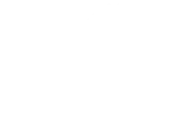 Logo design for The Wren Apartments featuring stylized olive branch and text.