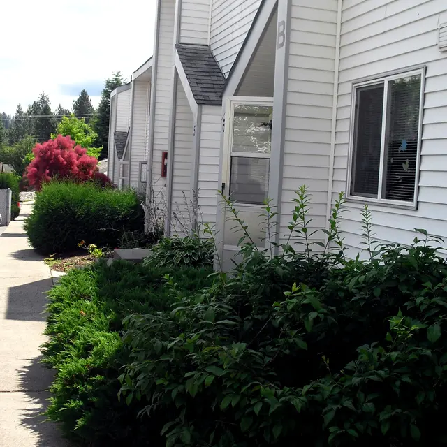 Sidewalk by Apartment Complex A view of a sidewalk next to an apartment complex with white walls and a slanted roof, featuring lush green shrubs and a small red tree in the background.