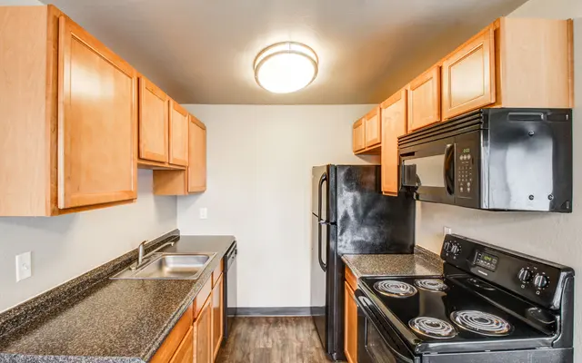 Modern Kitchen Design A modern kitchen featuring wooden cabinets, a black stove and microwave, and a black refrigerator. The countertops are dark and the space is well-lit with a ceiling light fixture.