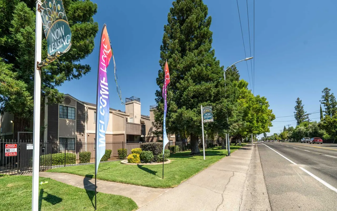 A leasing sign and colorful banners outside an apartment complex along a tree-lined street on a sunny day.