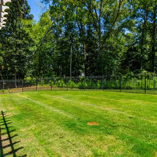Summer Lake Summer Lake - Grass, Plant, Lawn