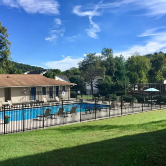 Summer Chase - Nature, Outdoors, Scenery