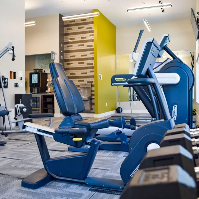 The Preserve at Willow Springs - Ceiling Fan, Device, Electrical Device