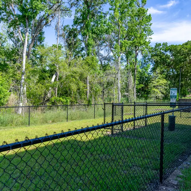 Rochester Park - Grass, Nature, Outdoors