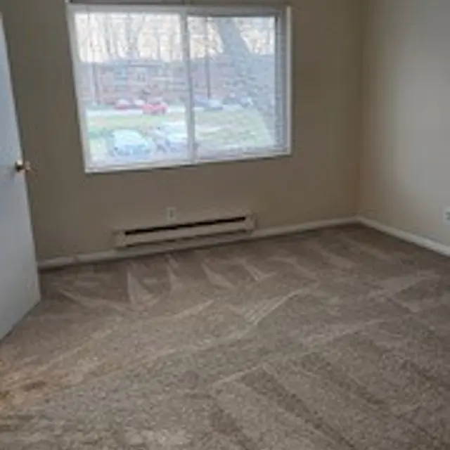 Lakewood Park - Floor, Flooring, Home Decor