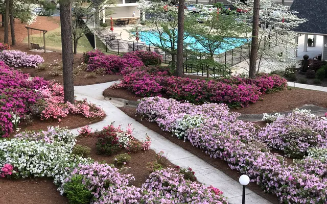 Lake Claire Apartments